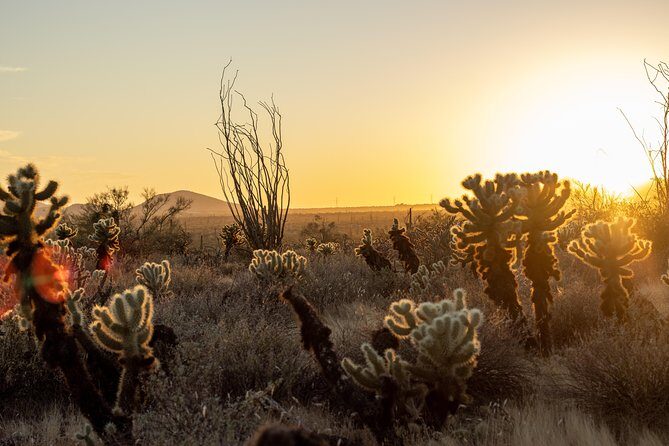 Sonoran Desert Jeep Tour at Sunset - Who Should Consider This Tour?