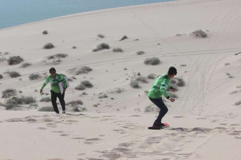 Sonora:Tour to the Sand Dunes of the desert in San Nicolás - What You Can Expect from the Tour