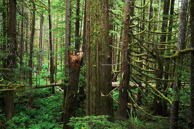 Sooke to Port Renfrew: Wild Pacific Adventure - What Travelers Say