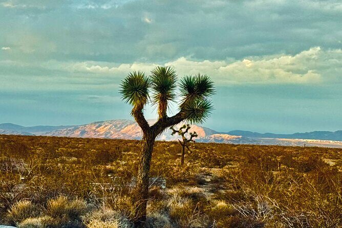 Soul Reconnection Retreat in Joshua Tree - What Makes This Experience Stand Out