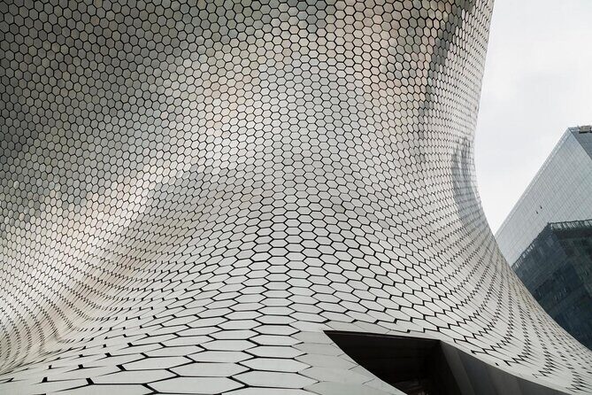 Soumaya Museum Private Tour - The Itinerary: What You Can Expect