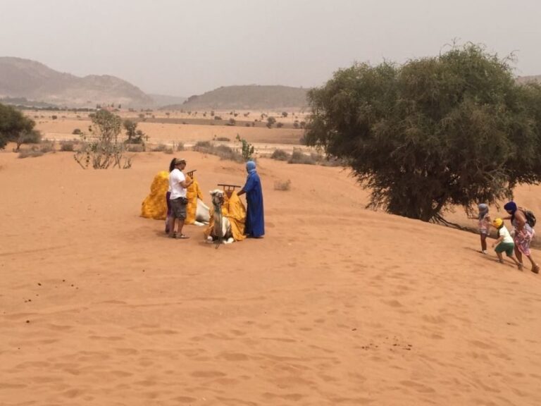 Souss-Massa National Park: Full Day Jeep Tour with Lunch - An In-Depth Look at the Tour Experience