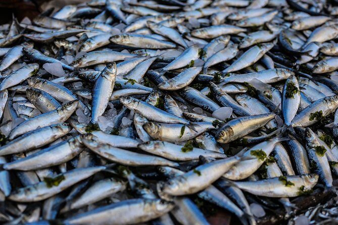 South Gambia Tour - Fishing village and Paradise Beach - Transportation and Timing
