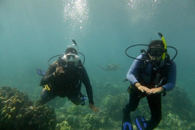 South Maui Discover Scuba Dive - Why It Works for Beginners