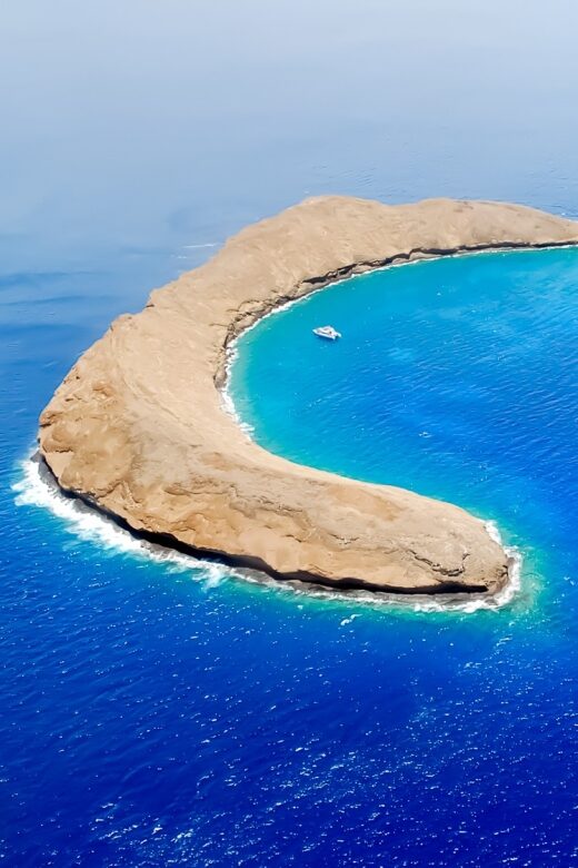 South Maui: Molokini & Turtle Adventure from Maalaea Harbor - What Makes This Tour Stand Out?