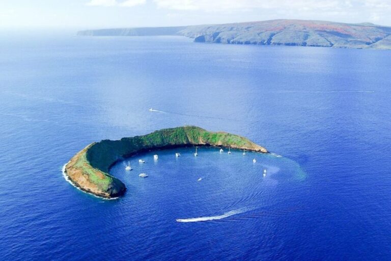 South Maui: Molokini & Turtle Town Snorkeling Tour with Meal - In The Sum Up