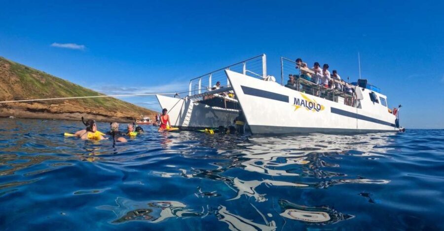 South Maui: Snorkel to Coral Gardens or Molokini Crater - Who Will Love This Tour?