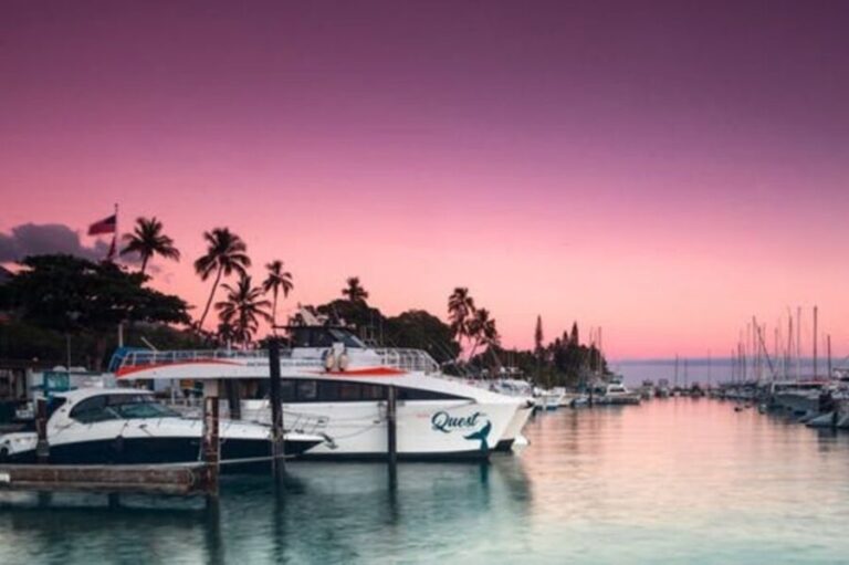 South Maui: Sunset Cruise with 4-Course Dinner and Drinks - What’s Included and What’s Not