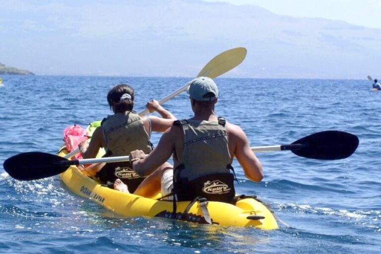 South Maui: Waterfall Tour w/ Kayak, Snorkel, and Hike - Why This Tour Offers Great Value