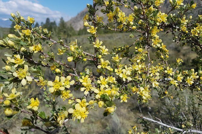 South Okanagan Desert Tour - Duration, Price, and Overall Value