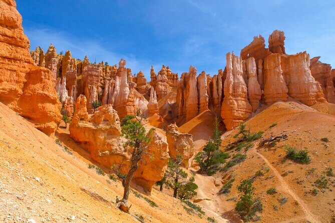 Southwest Giant Ring W/National Parks 4-Day Tour from Las Vegas - The Practical Side: What Does It All Mean for You?