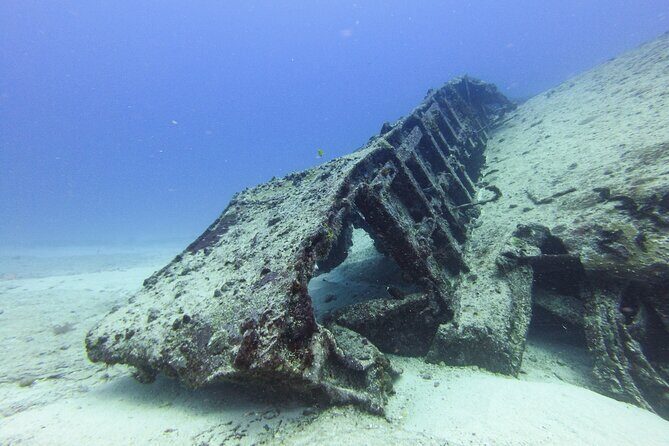 SPECIAL!! 2 Tank Wreck & Drift Reef dives - Why This Tour Stands Out