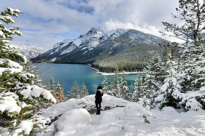 Spectacular Banff Day - Gondola Included - What Makes This Tour Stand Out?