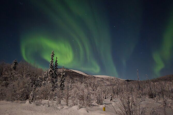 Spectacular Hot Spring Experience with Northern Lights - Insights from Reviews: Authentic Perspectives