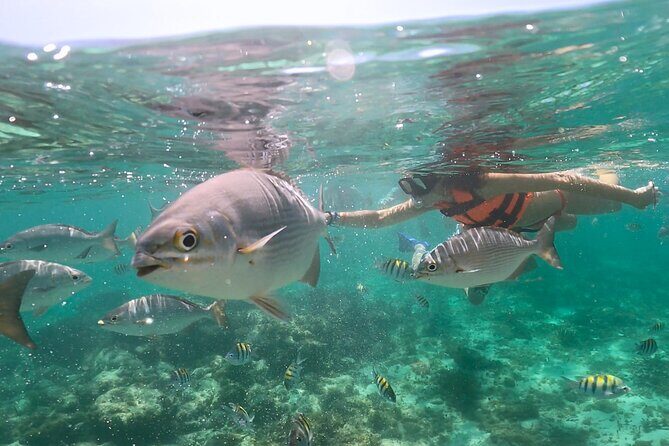 Speed Boat Snorkeling in Cancun with Mayan Ceremony and Tasting - Final Thoughts: Who Is This Tour For?