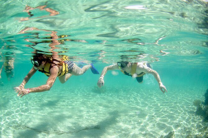 Speed Through Cancun: Explore Mangroves, Reefs & MUSA in One Tour - Analyzing the Value
