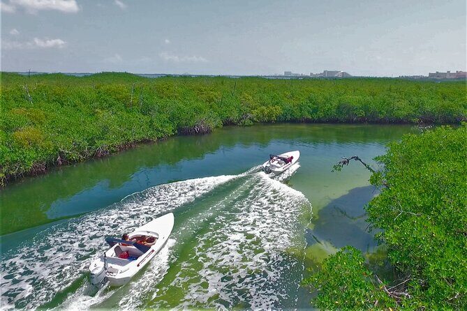 Speedboat Excursion: Thrilling Drive & Snorkel in Cancun Lagoon! - Summary: Who Is This Tour Best For?