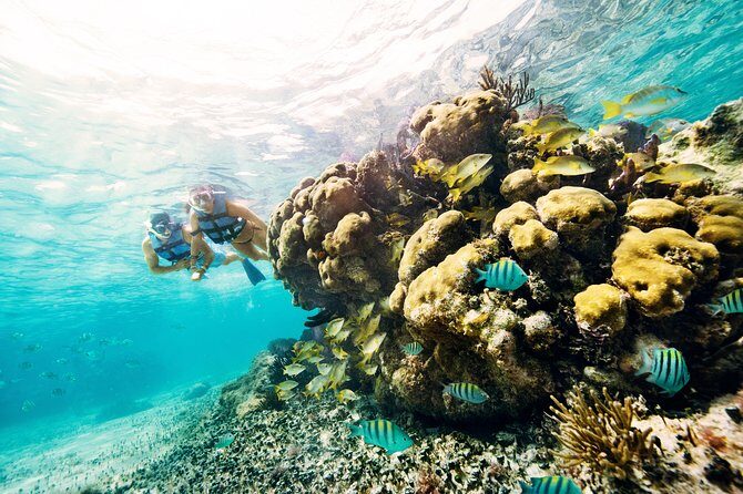 Speedboat tour in Cancun with snorkel and sightseeing in manglars - What to Expect and Practical Considerations