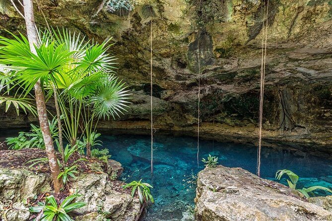 Spider Monkey, Coba and Cenote - Key Points