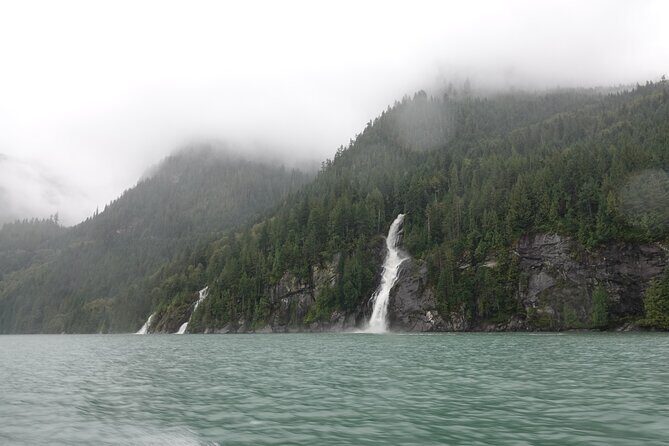 Spring Bear and Waterfall Tour - Analyzing the Value