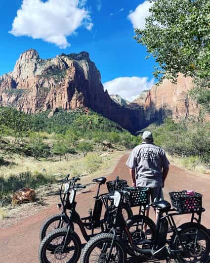 Springdale: Guided eBike Tour in Zion National Park - What Makes This Tour Special?