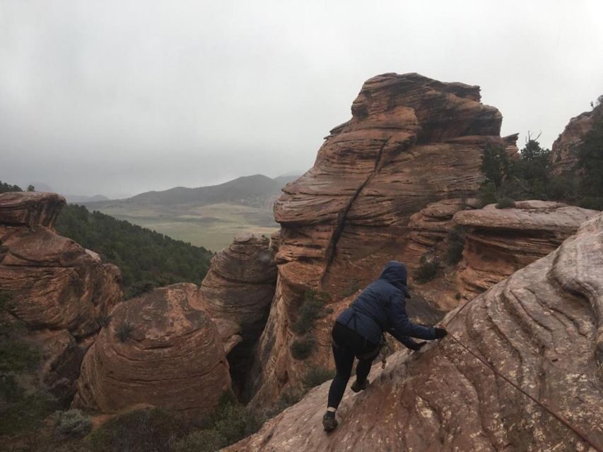 Springdale: Half-Day Canyoneering Experience