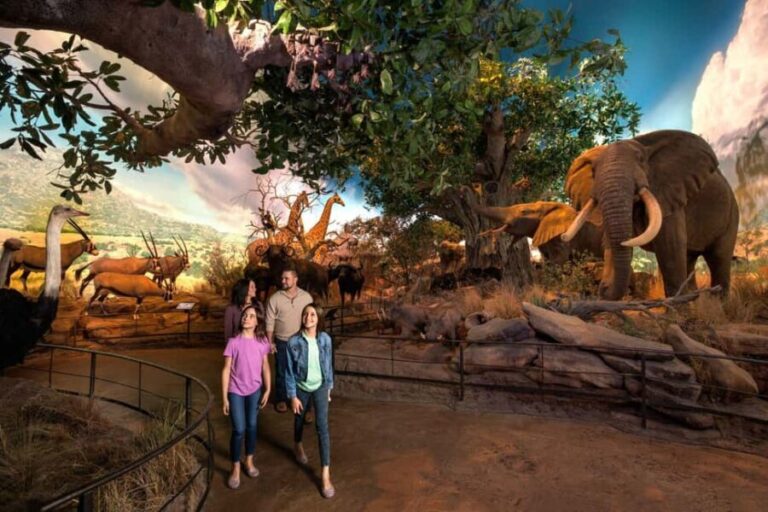 Springfield: Wonders of Wildlife National Museum & Aquarium - Practical Details & Tips