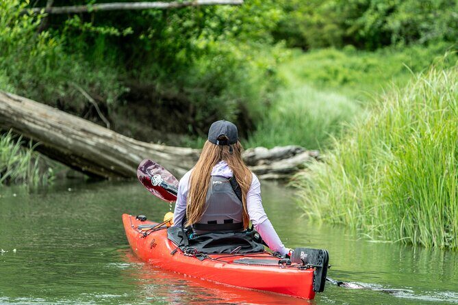 Squamish Full Day Expedition Kayak Rental - What To Expect During Your Kayaking Day in Squamish