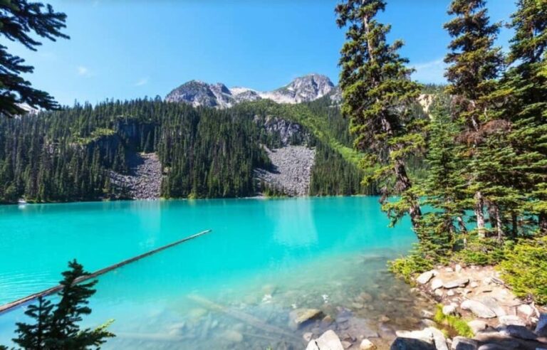 Squamish-Lillooet: Joffre Lakes Guided Hike - The Practicalities: What’s Included and What to Prepare