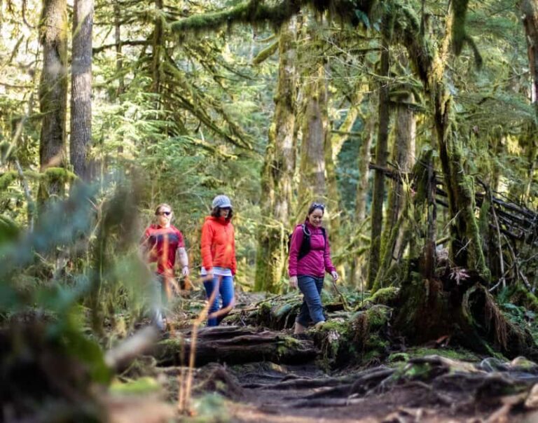 Squamish: Stawamus Chief Guided Hike - Is It Good Value?