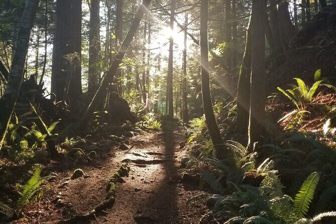Squamish Trail Running Adventure - What’s Included and What to Bring