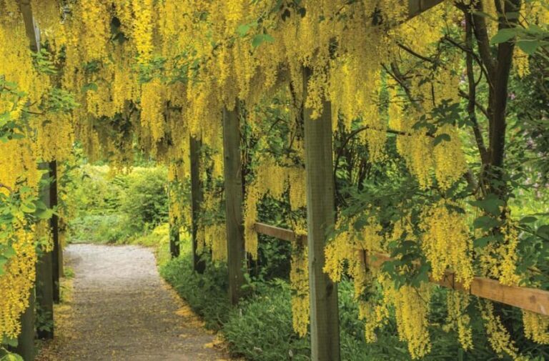 St. Andrews New Brunswick: Kingsbrae Garden Admission Ticket - The Sum Up