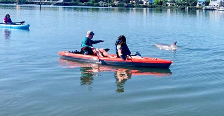St. Augustine: Dolphin and Manatee Paddle or Kayak Tour - Why This Tour Works Well for Travelers