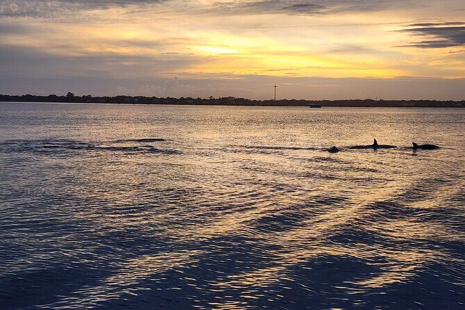 St. Augustine Private Day or Sunset Boat Tour, 6 passengers max - Frequently Asked Questions