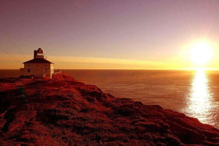 St. John's NL: Cape Spear & City Tour with Local Guide - What Reviewers Say