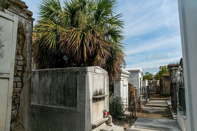 St. Louis Cemetery No. 1 Official Walking Tour - Who Will Love This Tour?