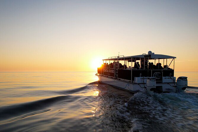 St. Pete Dolphin Watching and Island Sunset Cruise - Who Will Enjoy This Cruise?