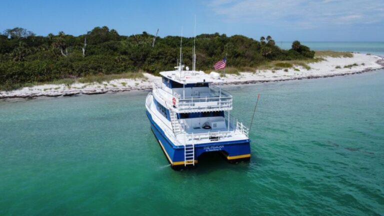 St. Petersburg, FL: 4-Hour Catamaran Cruise to Egmont Key - What Makes This Tour Stand Out?