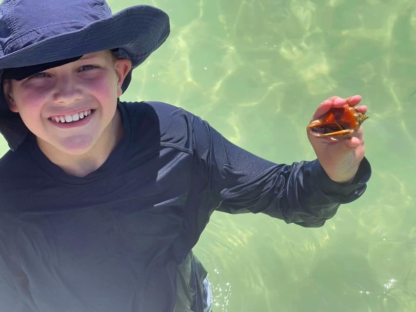 St. Petersburg, FL: 4-Hour Private Beach Tour - Shell Key: Shelling and Wildlife