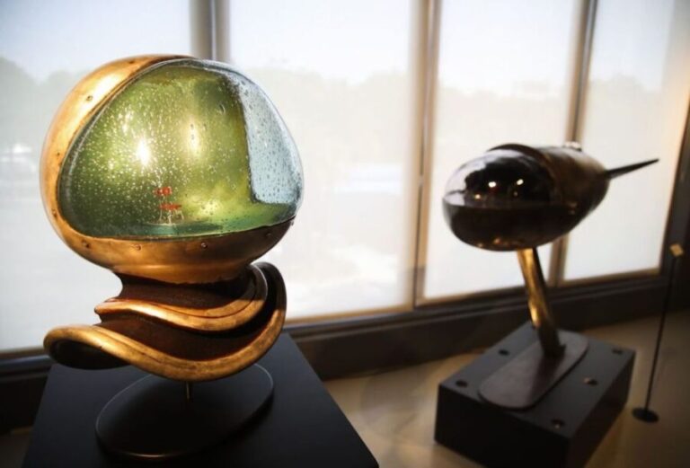St. Petersburg, FL: Imagine Museum Admission Ticket - Conclusions: Why Visit Imagine Museum?