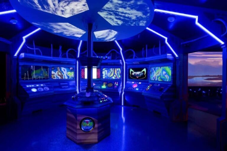 St. Petersburg: Immersive Art Experience - Who Should Visit?