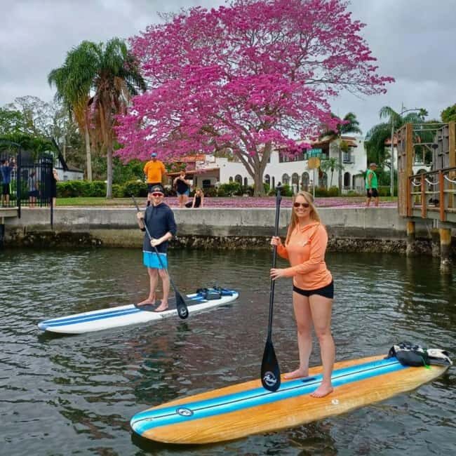 St. Petersburg: Paddle Board Tour with Wildlife Spotting - What Makes This Tour Special