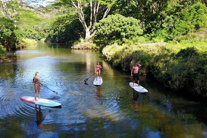 Stand Up Paddle Rental- Wailua River to Secret Falls - Who Will Love This Experience?