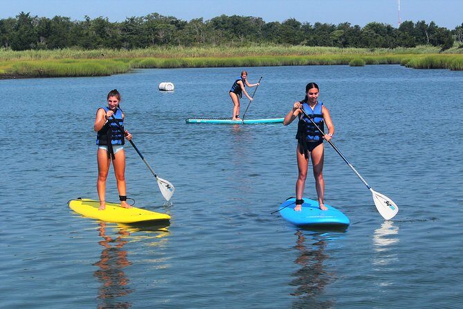 Stand Up Paddleboard Rental - Why This Activity Offers Great Value