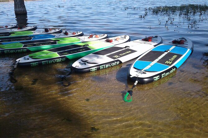 Stand Up Paddleboard Rentals - The Rental Experience