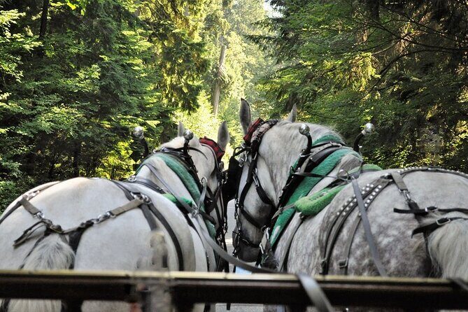 Stanley Park Horse-Drawn Tour - Who Will Love This Tour?