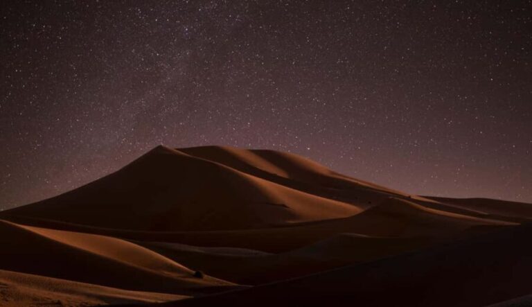 Star Studded Night Desert Safari Doha Qatar - What Makes This Tour Stand Out?