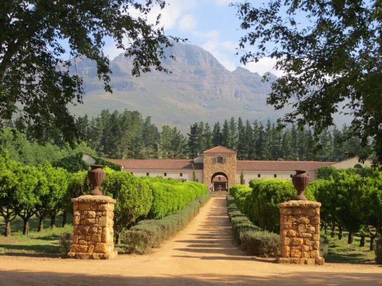 Stellenbosch: All-inclusive Private Wine Tour & Tastings - Who Would Enjoy This Tour?