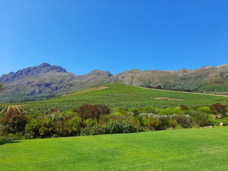 Stellenbosch: Best of the Winelands Private Tour & Tastings - Who Should Consider This Tour?