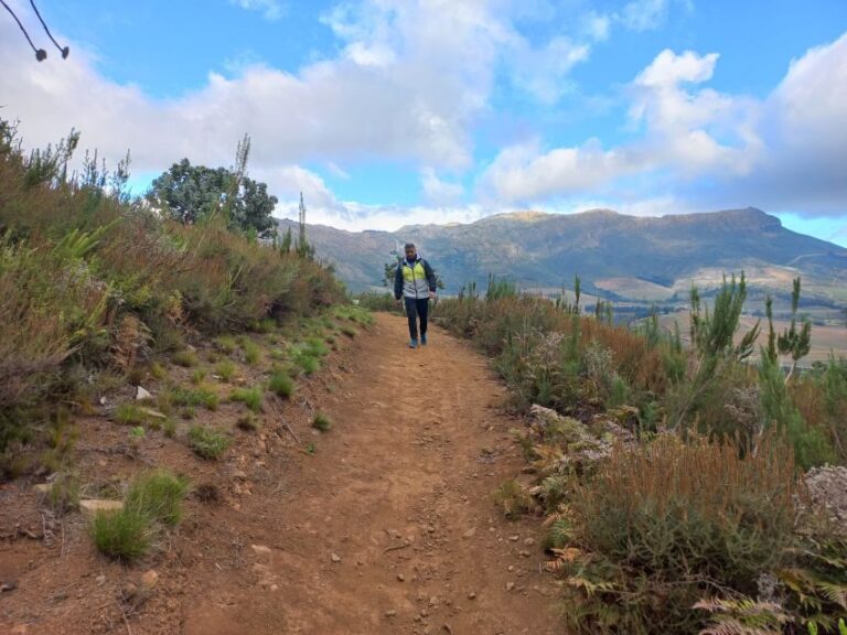 Stellenbosch: Half-Day Guided Nature Hike and Wine Tasting - Who Will Love This Tour?